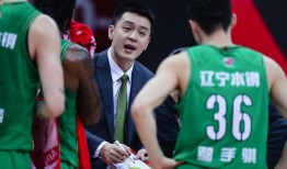 杨鸣最新爆料,篮球界幕后故事大公开